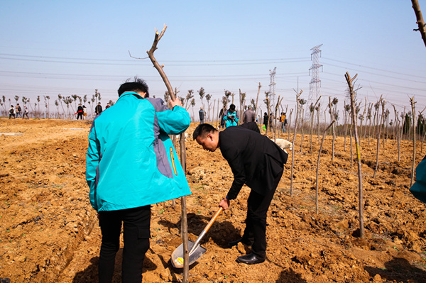 “攜手植樹(shù)，共創(chuàng)藍(lán)天”丨南京新華師生共筑新華育才林